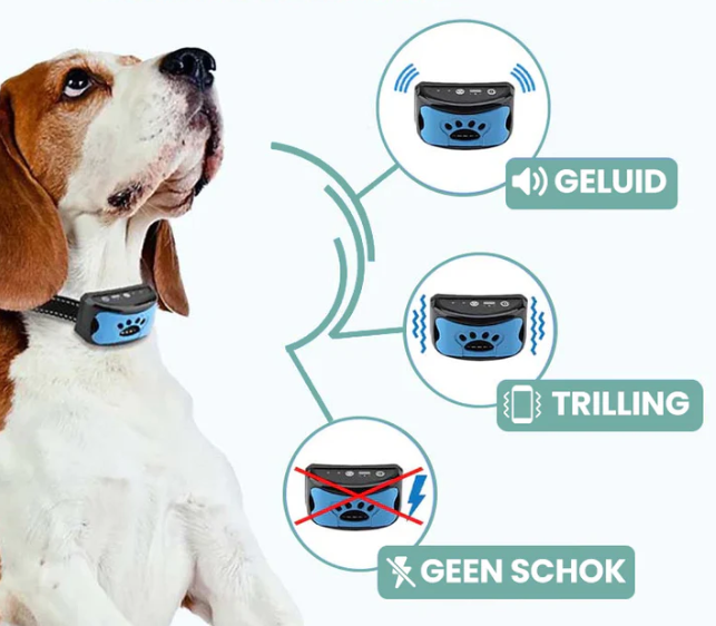 Antiblaf Halsband | Diervriendelijk zonder schock