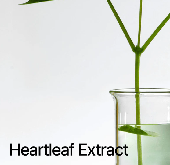 Anua Heartleaf Pore Control Cleansing Oil